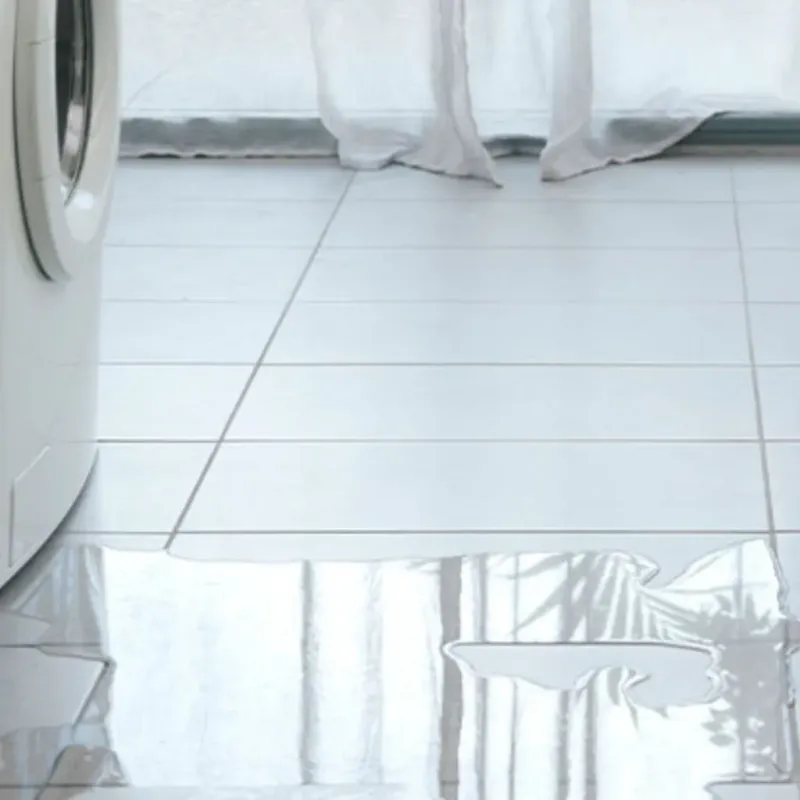 Appliance Leak Cleanup in Wadesboro, NC